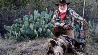 Hoggin Time – Hog Hunting Season - CarbonTV Blog