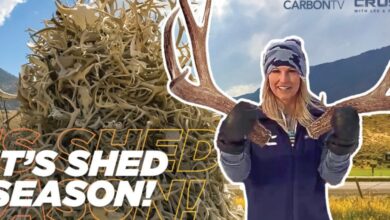 Shed Season - CarbonTV