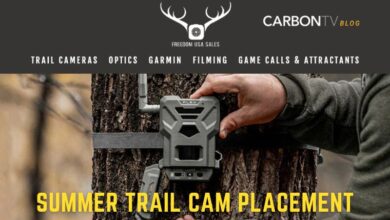 Summer Trail Cam Placement - CarbonTV Blog